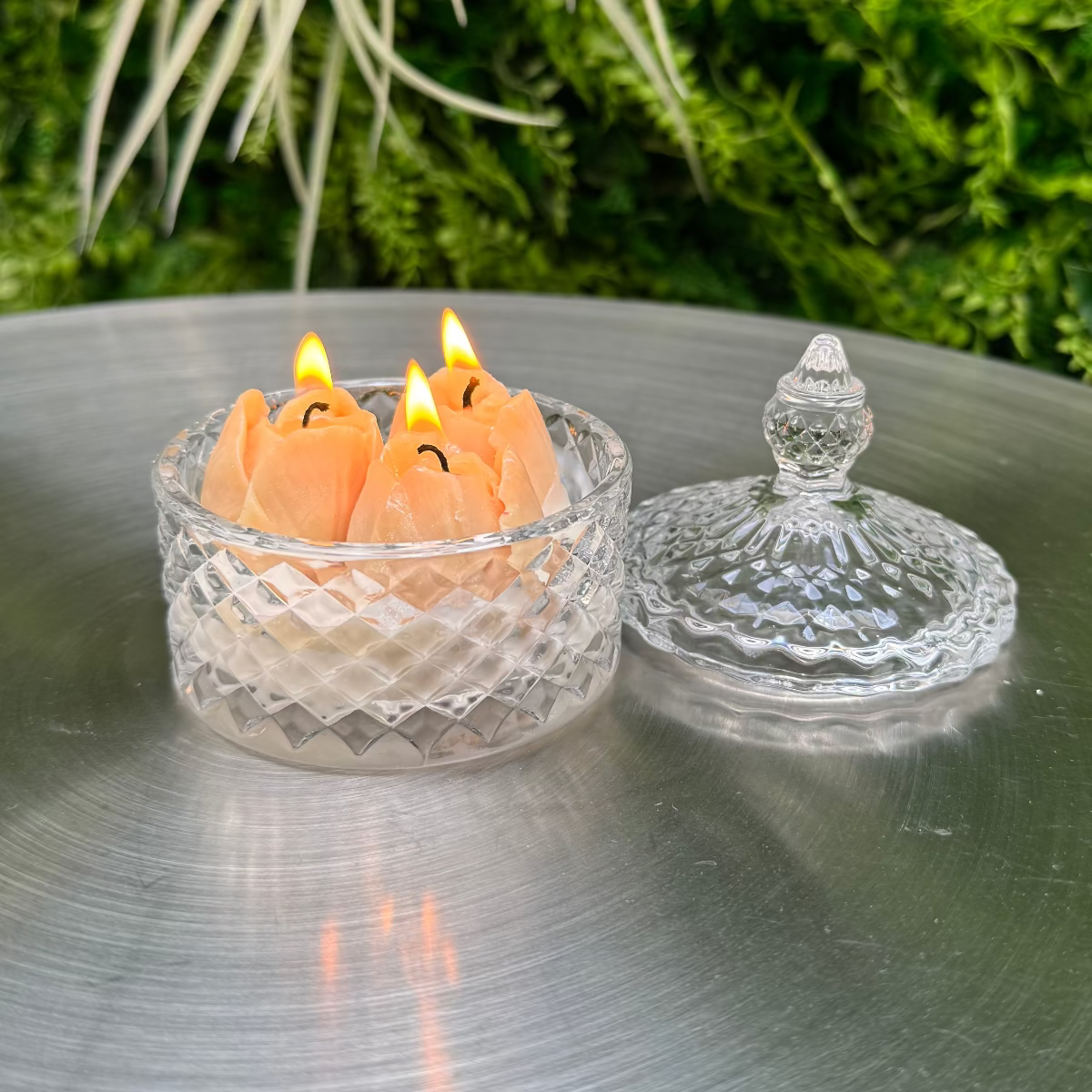 Vela "Tulipán Lumière"